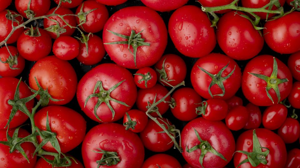 10 самых сладких сортов томатов — вкуснее меда!
