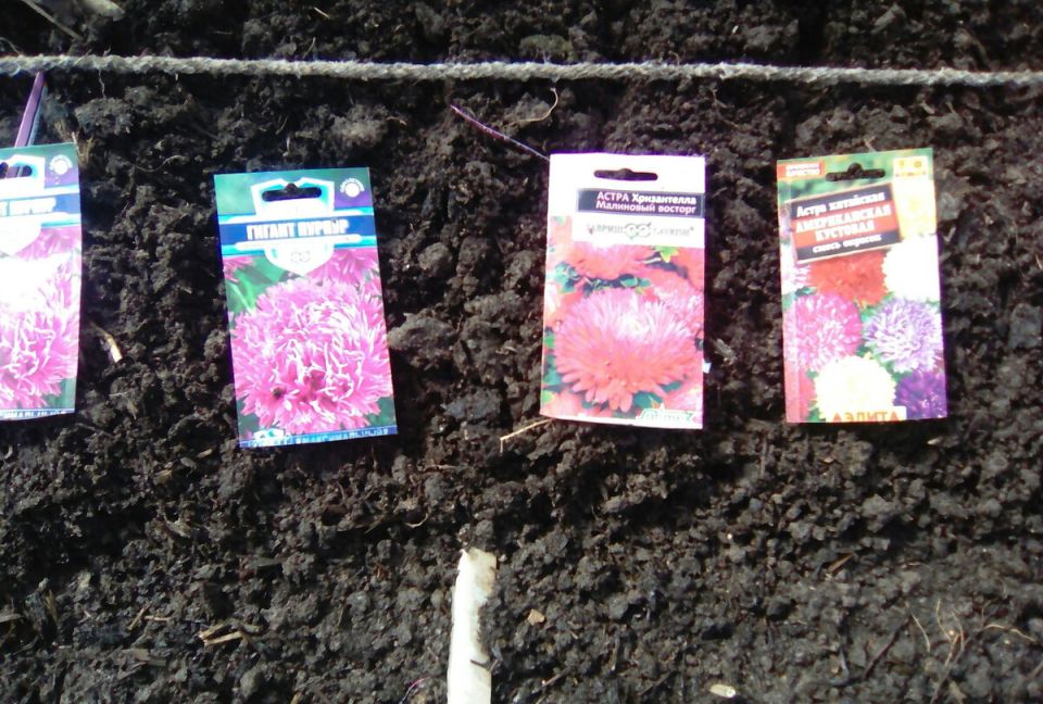 Подзимний посев: как городские огородники могут опередить весенний сезон