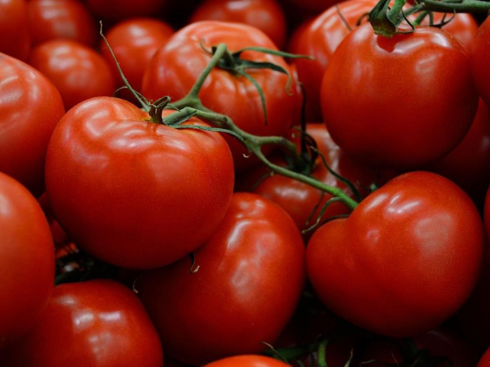 Необычный метод полива, который удивит опытных садоводов