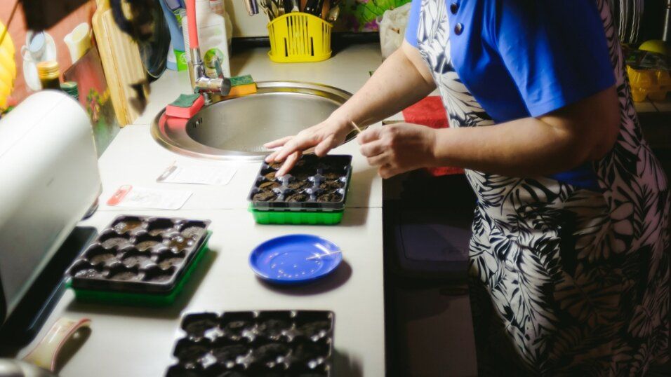 Как сажать перцы: секреты и советы опытных огородников