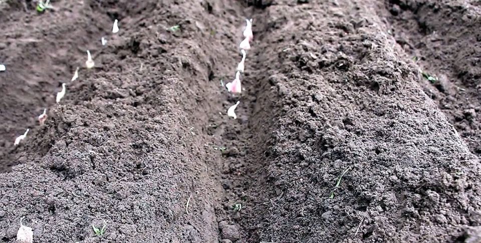 ����� ����� ����� ������ ������ � ������� 2025 ����