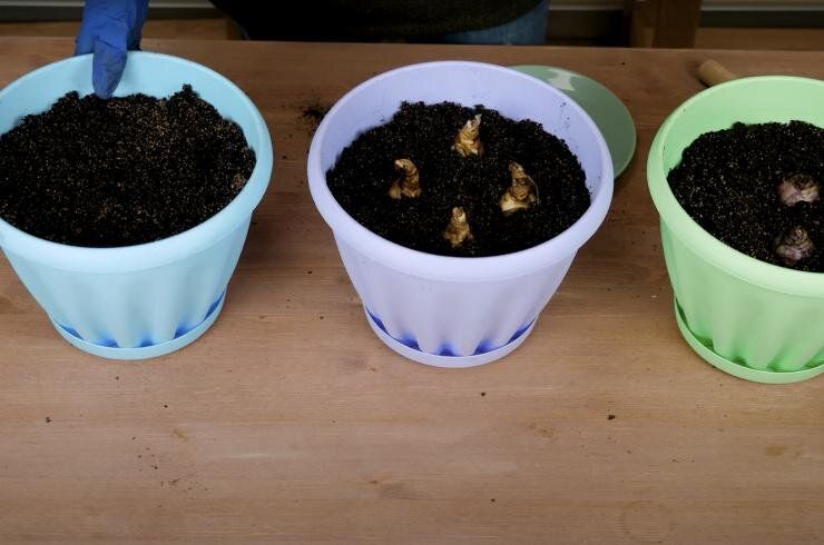 ��� ��������� ����� �������� � 8 �����: ������� �������� �������