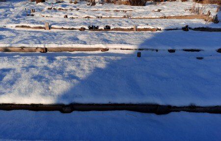 ������ �����: ��� �������� ��������� �� ������� � �������� ���������� ����