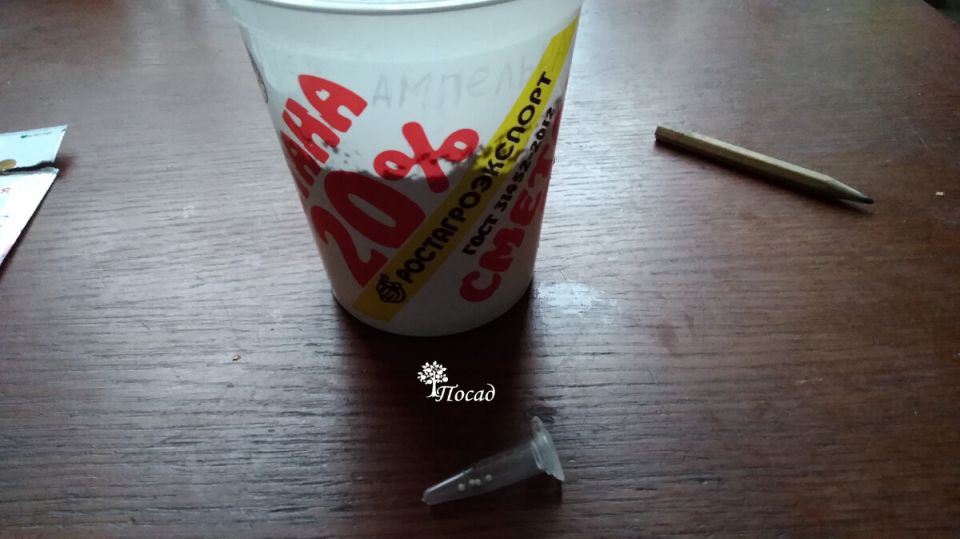 ������ ����� ��������� ������ ������� �� ����: ����������� ������