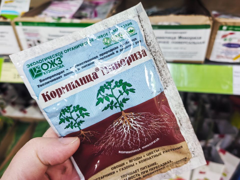 ��������: ������ �������� ��� ������������� ��� ��� ���������?