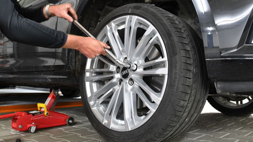 ������ ��� �� ������: ���������� ��������, ����� ���� ������������� ����������