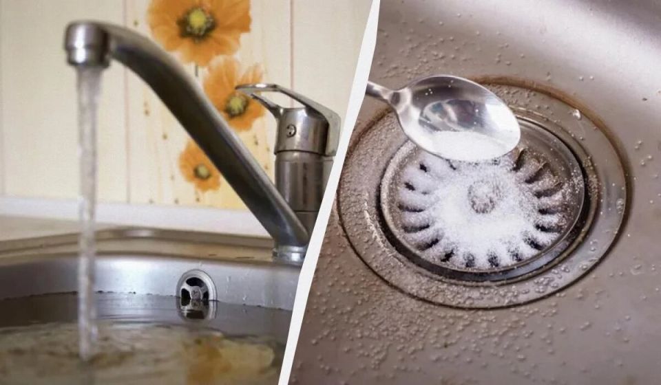 ��� ������ ��������� ����� � ��������: ��� ����������� �����������