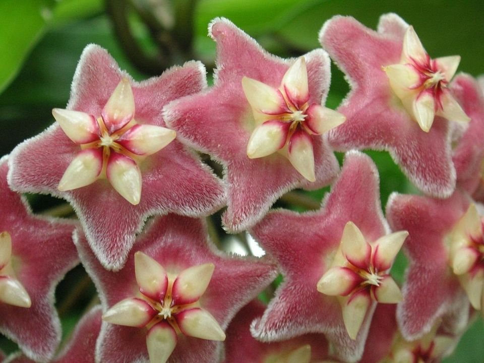 ����: �� ������� � �������� ��������