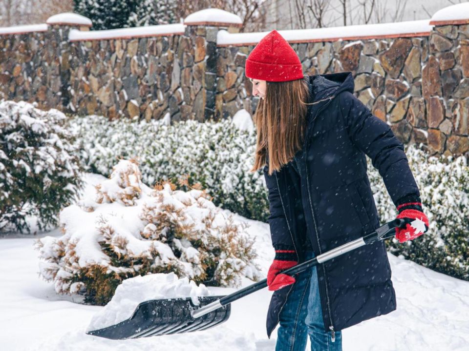 ������ ������ ���������: ��� �������� ������� ������