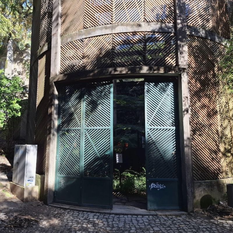 ��� �� ������ ����� ���������� ������������� ����: ��������� �������� � �������