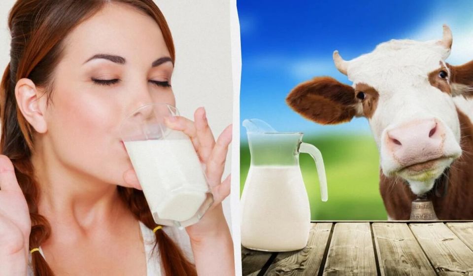 ������������ ������: ������� ��� ������ ��� ��������?