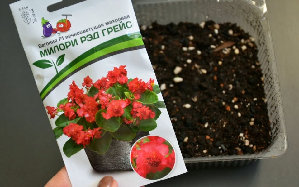 ��� ��������� ������� �� �����: ������ �� �������