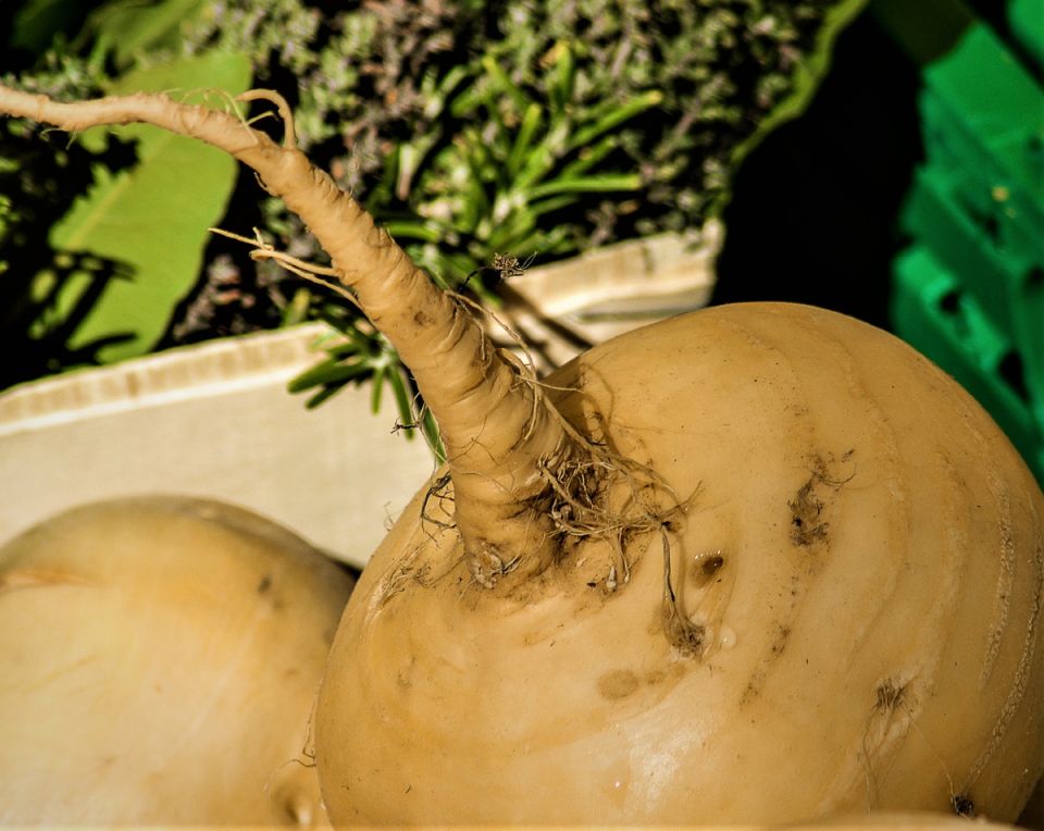 ������ ���� ���� ����� ���� ��������� � ��� ��� ���������: �������� ������ ��� ��������