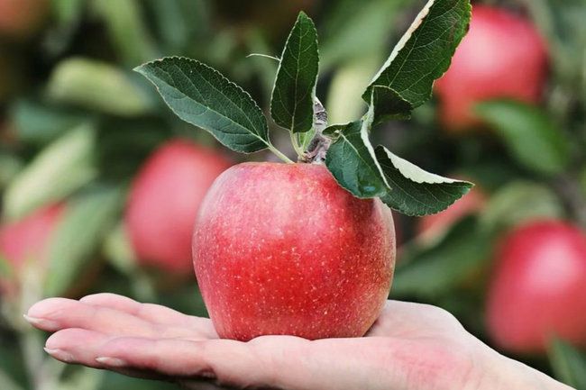 ������ ���������� ����� � �������� � ��� ������ ������� ��� ����������