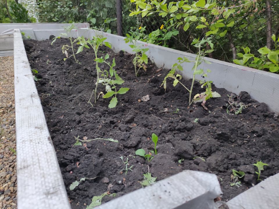 ������� ������: ����� �������� ������� ��� ���������� �������?