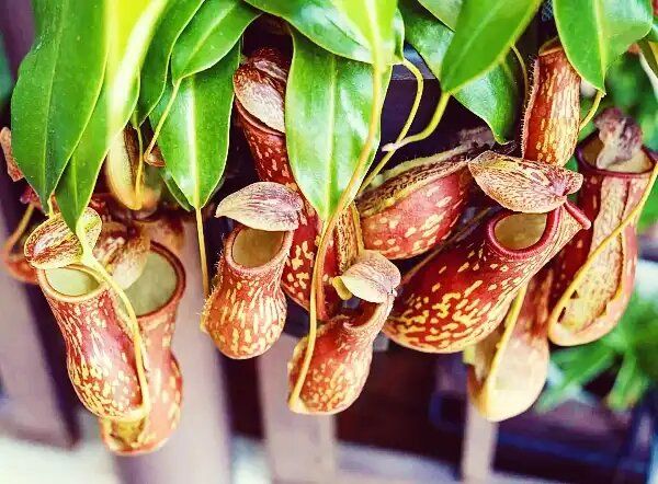 ��������: ��� ��������� ������ �������� � �������� ��������