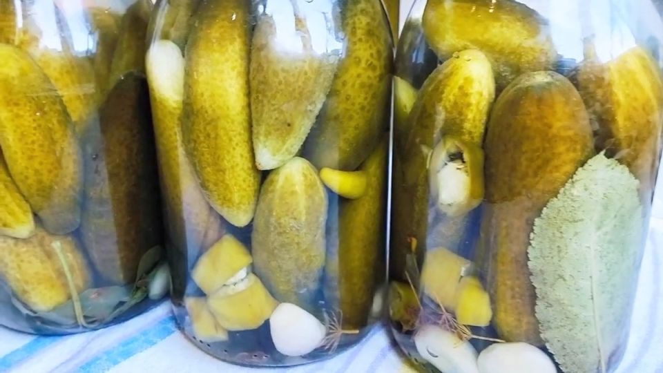 Как правильно заготовить соленые огурцы в квартире без спешки и ошибок