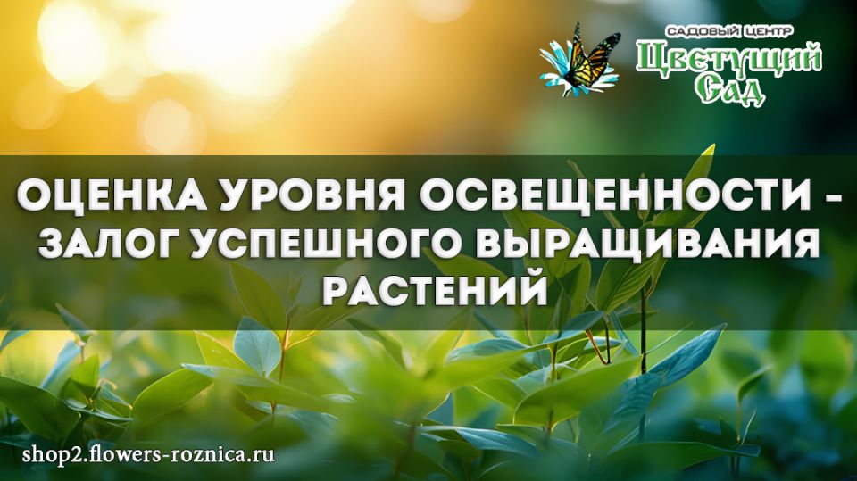 ��� ��������� ������ �� ���: ������� ������� ������ ����� ��� ��������