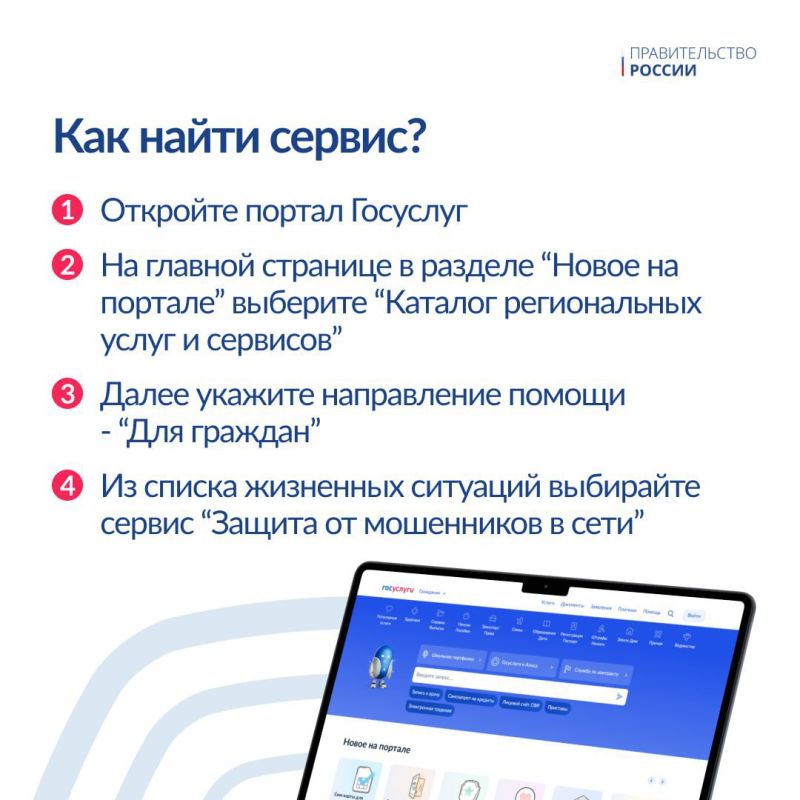             www.gosuslugi.ru/scammer_protection