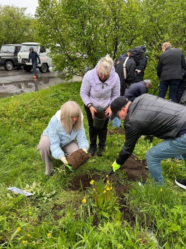 Депутат Магаданской городской Думы Максим Смирнов принял участие в акции «Волшебная сирень»