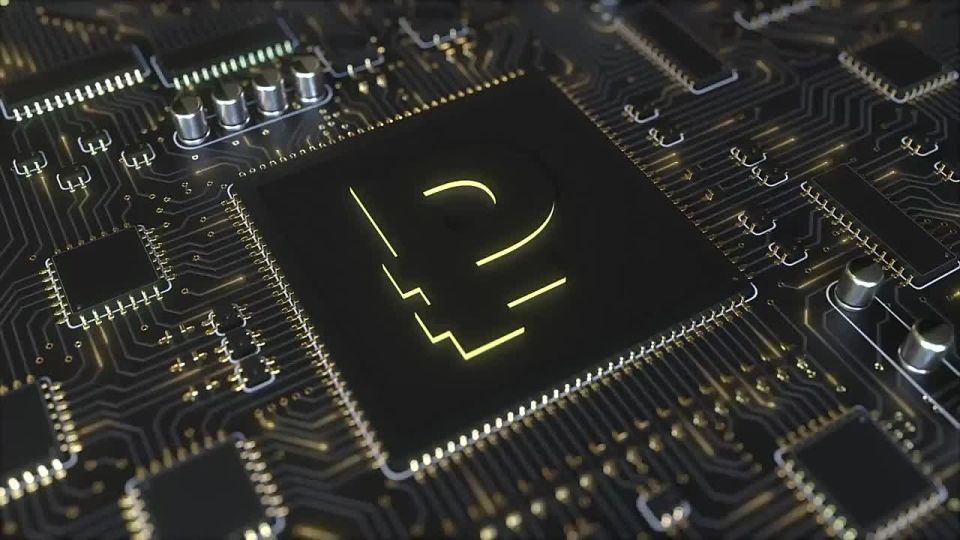 27,5        2024 