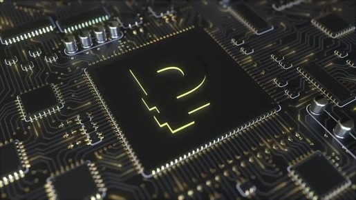 27,5        2024 