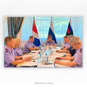 Заместитель Председателя СК России провела во Владивостоке оперативное совещание с руководителями следственных управлений ведомства в Дальневосточном федеральном округе
