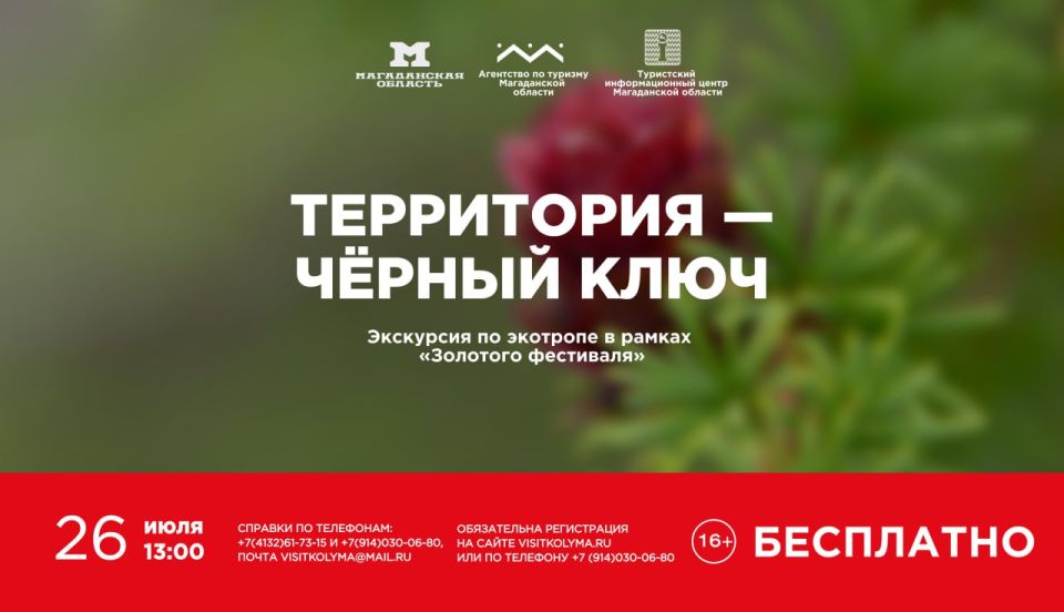 Отправляемся на «Золотой фестиваль»