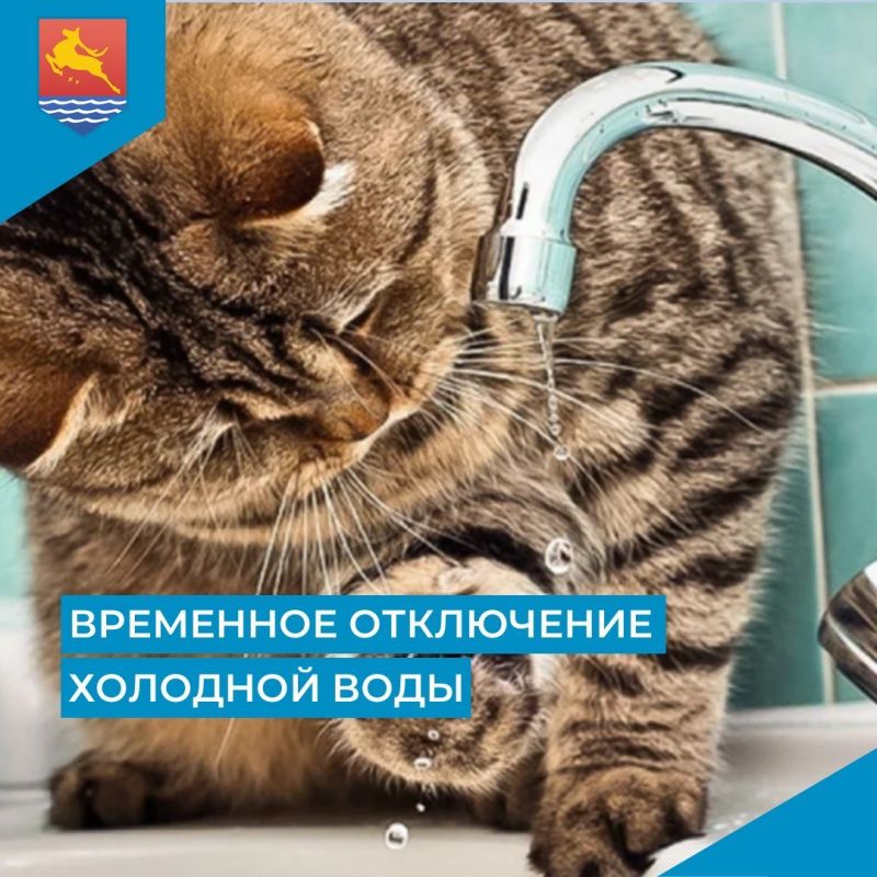   ,       -  15   9:30  13:30   :