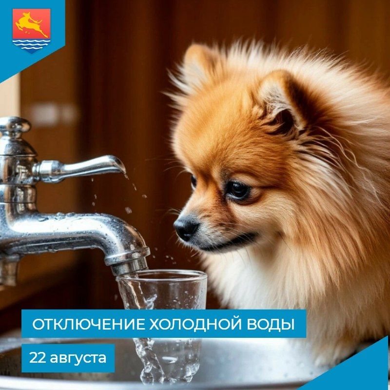   ,       -  22   9:30  13:30       38, 36/10     7   