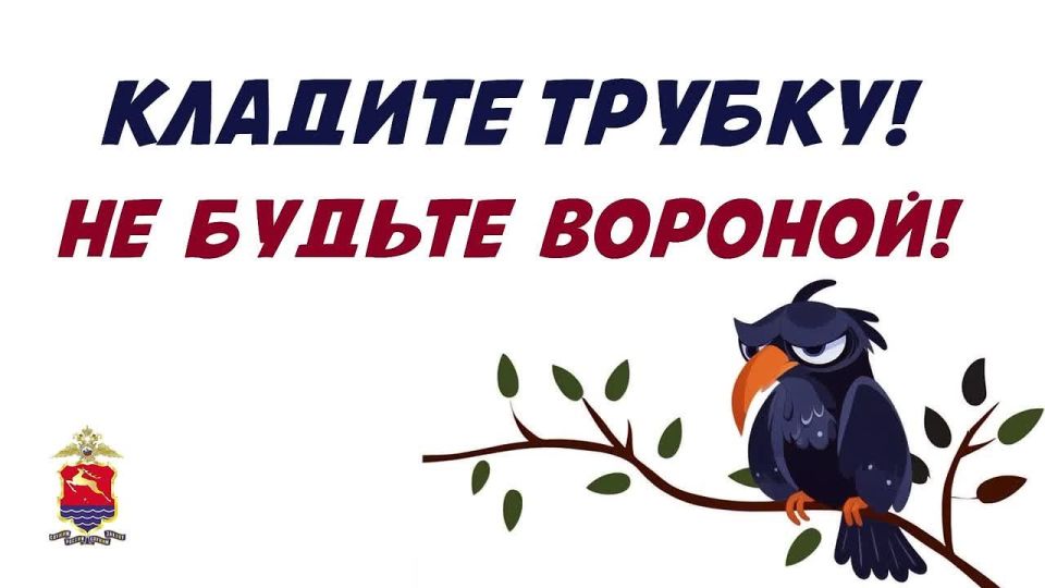   !    !