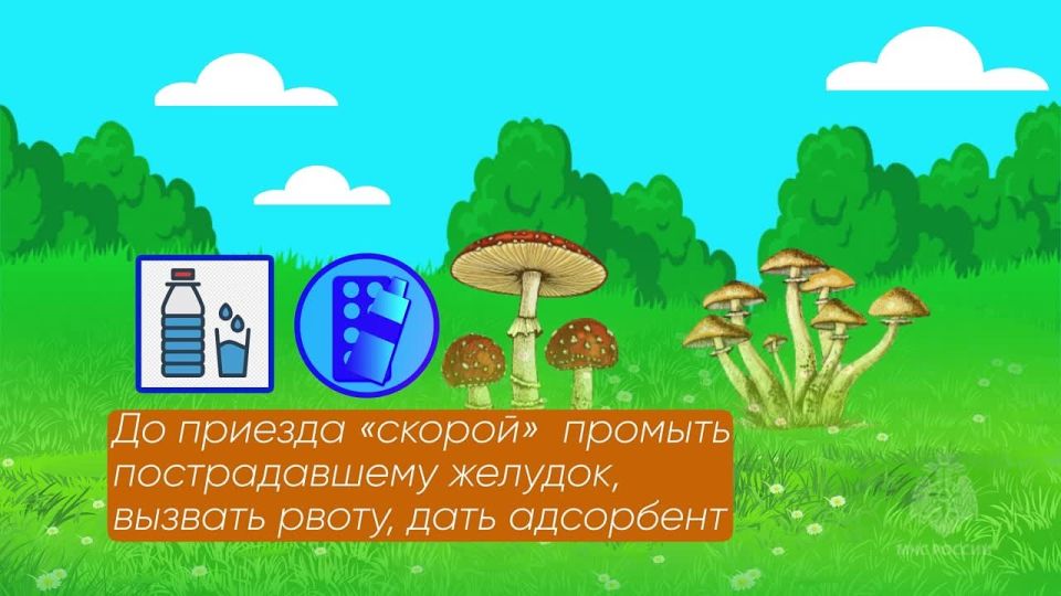   :     