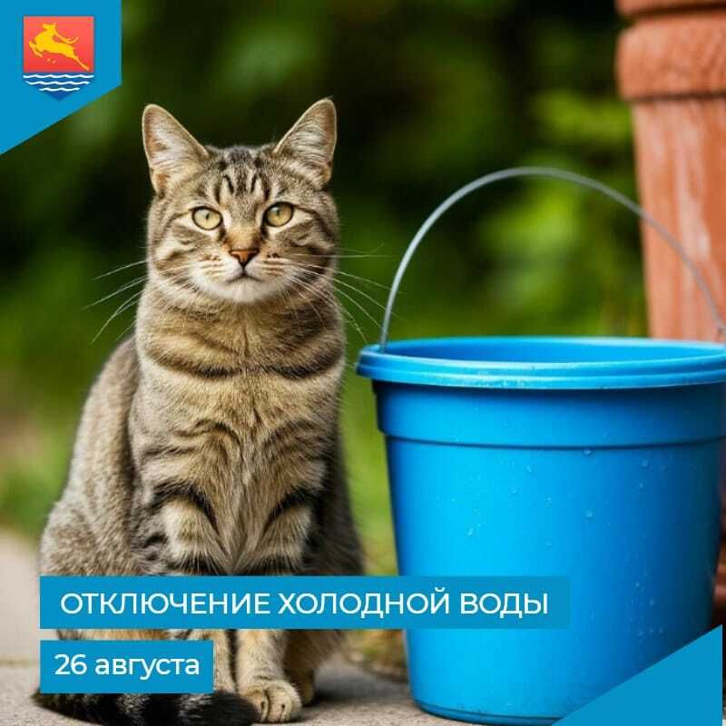   ,       -  26   9:30  13:30      