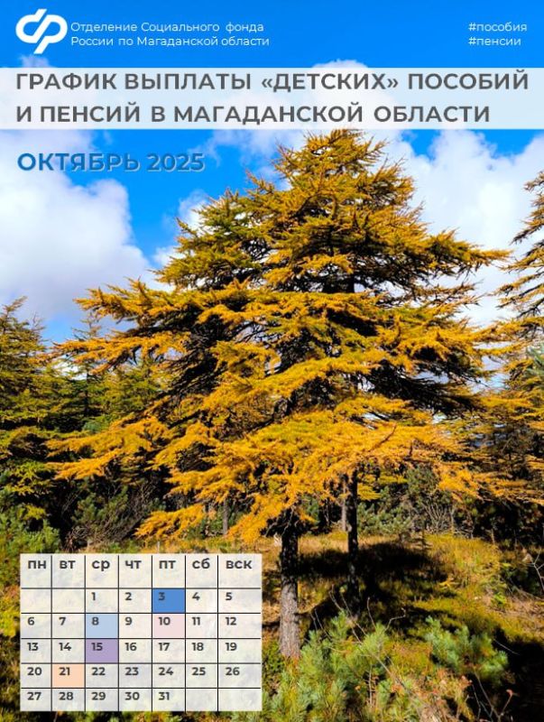 3          :