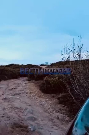  ,      ,   ,    ?