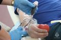 В честь 35-летия МЧС России специалисты ведомства приняли участие в донорской акции