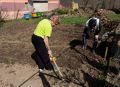 Как правильно подготовить почву для овощного богатства