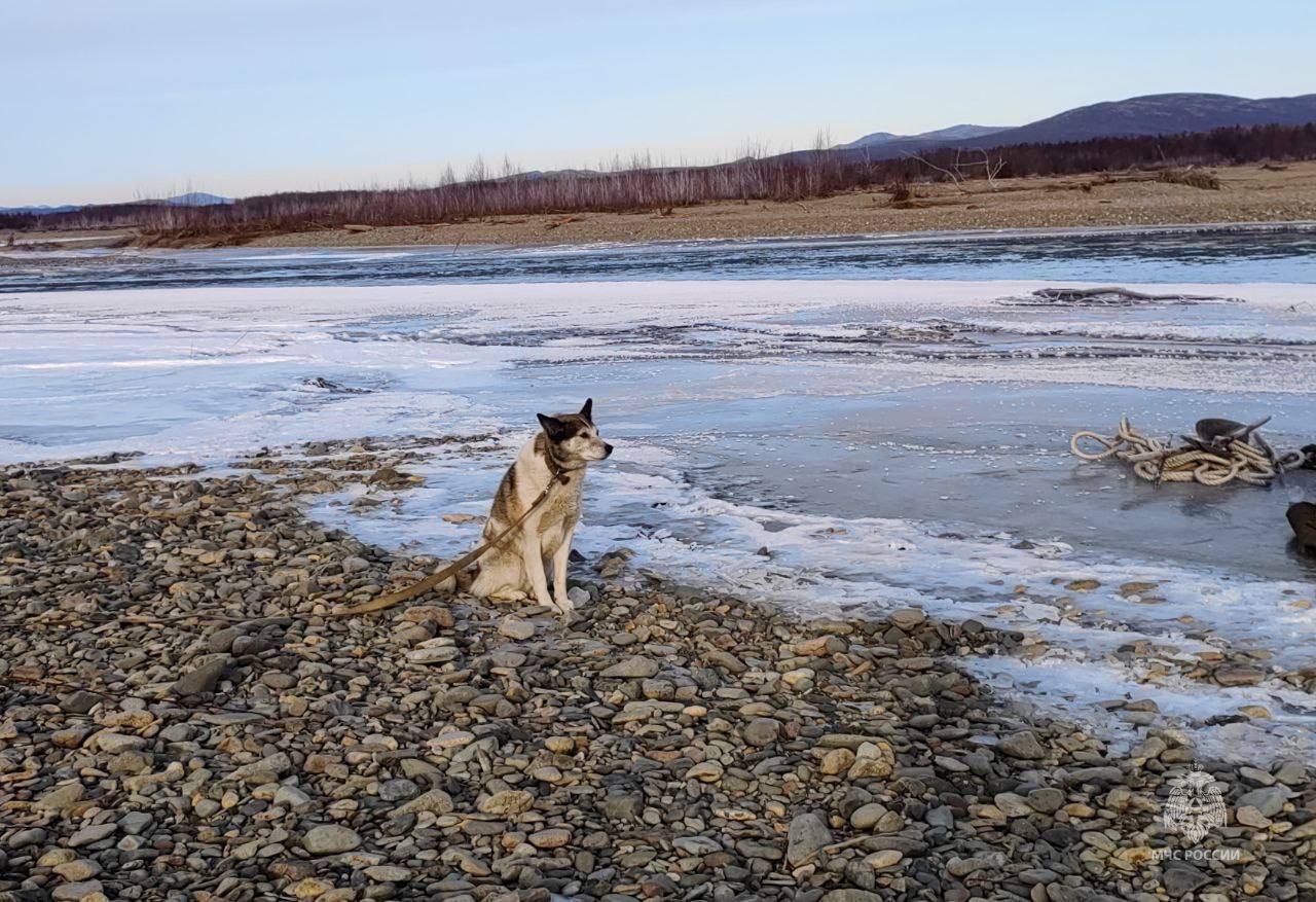 Вертолет спас из тайги двух рыбаков и собаку в Магаданской области Вертолет спас из тайги двух рыбаков и собаку в Магаданской области