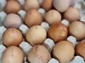 Лучшая альтернатива обычной яичнице: будете готовить только так
