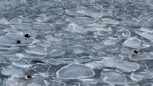 В четверг 30 октября, в Магаданской области преимущественно солнечно