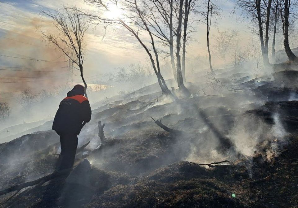 Больше 10 домов и лесной массив защитили от огня в Магадане