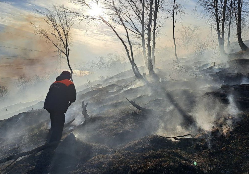 Больше 10 домов и лесной массив защитили от огня в Магадане