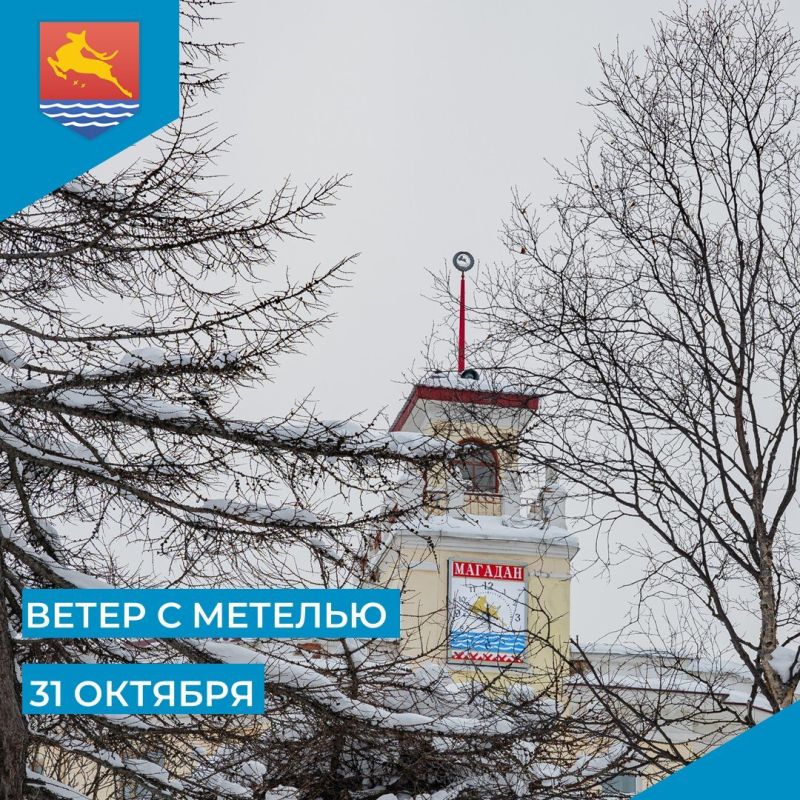 , 31       - 15-20 /  