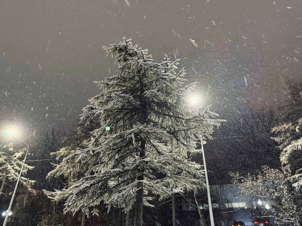 Сегодня в Магадане выпал первый снег