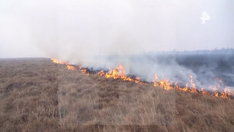 Остров Недоразумения, расположенный в 20 км от Магадана, продолжает гореть — организована работа по тушению лесного пожара