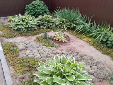 Бело-зеленый цветник: как создать многолетний сад без забот