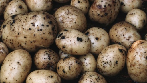 Не гниет и не зеленеет: мудрые дачники хранят картошку только так