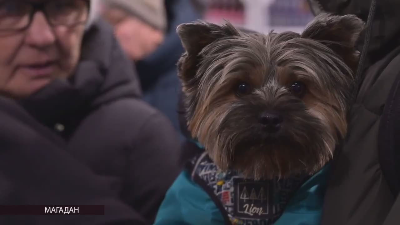 В Магадане открылся магазин белорусских продуктов