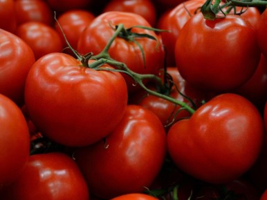 Необычный метод полива, который удивит опытных садоводов