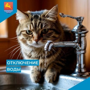 МУП «Водоканал» сообщает, что в связи с производством аварийных ремонтно-восстановительных работ 7 ноября с 9:30 до 13:30 отключат холодное водоснабжение на улице Якутской, 69В и в переулке Марчеканском, 5